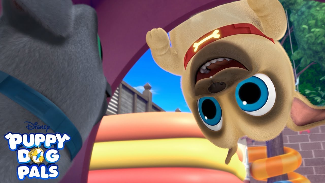 Bring Home Bingo: The Adventurous Puppy Dog Pals Plush Toy Guide